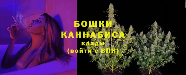 spice Нягань