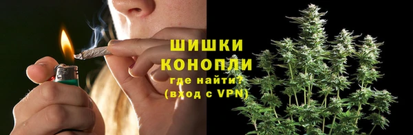 тгк Протвино
