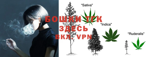 spice Нягань