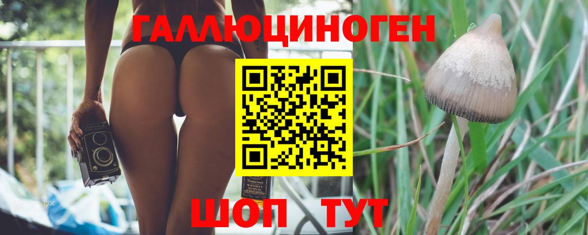 Галлюциногенные грибы прущие грибы Богданович