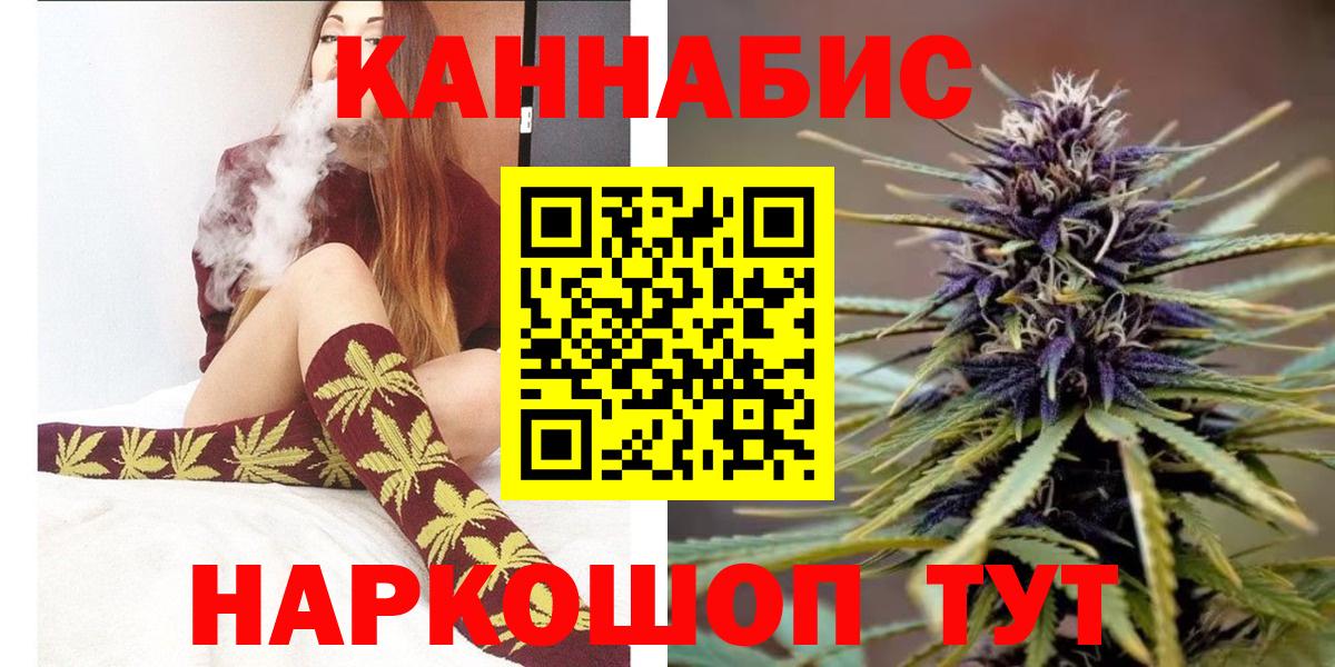 Каннабис конопля Богданович